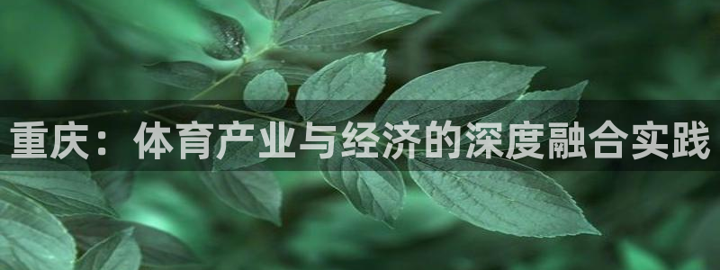 重庆：体育产业与经济的深度融合实践