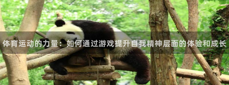 体育运动的力量：如何通过游戏提升自我精神层面的体验和成长