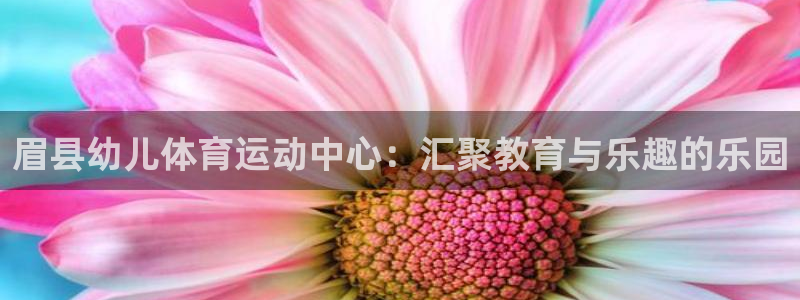 眉县幼儿体育运动中心：汇聚教育与乐趣的乐园