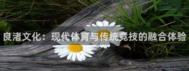 良渚文化：现代体育与传统竞技的融合体验
