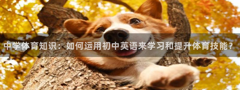 中学体育知识：如何运用初中英语来学习和提升体育技能？