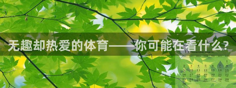 无趣却热爱的体育——你可能在看什么?