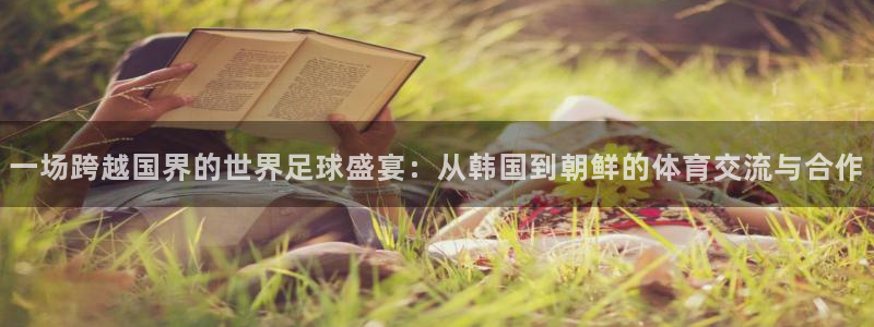 一场跨越国界的世界足球盛宴：从韩国到朝鲜的体育交流与合作